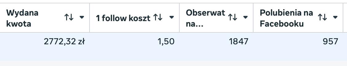 Wynik kampanii follow, 1847 obserwatorów